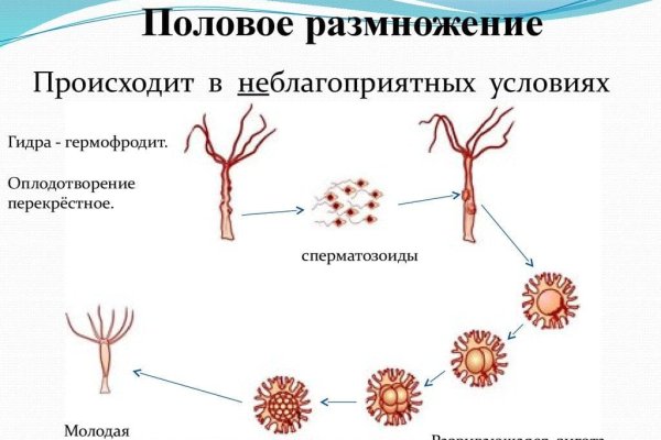 Ссылка на кракен krakens13 at