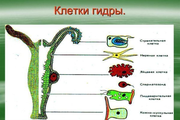 Где найти рабочую ссылку на кракен