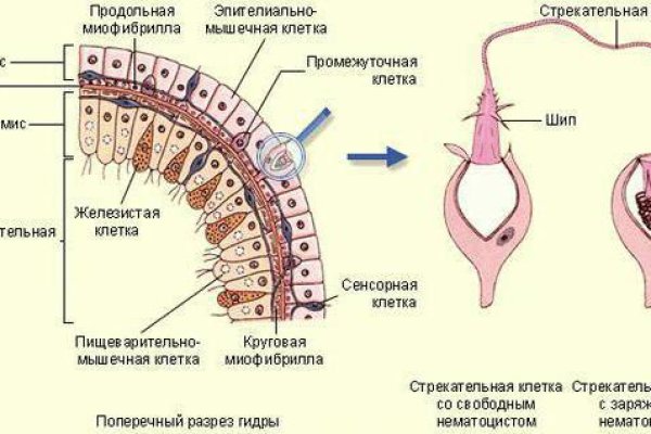 Вход в кракен чтобы купить меф