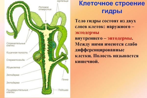 Кракен вход kr2web in