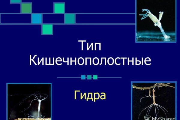 Как зайти на гидру через тор браузер